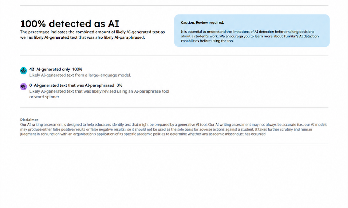 Sample AI writing report